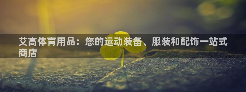 欧陆软件官网：艾高体育用品：您的运动装备、服装和配饰