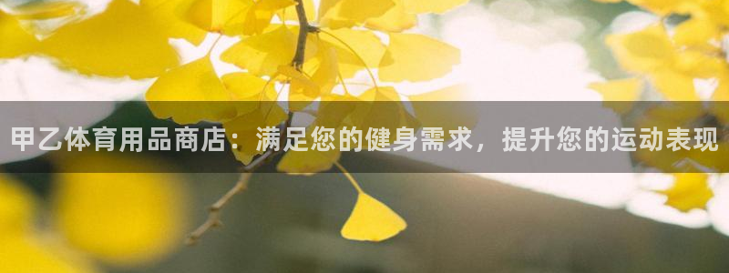 欧陆娱乐官方网站入口：甲乙体育用品商店：满足您的健身