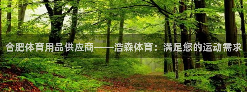 欧陆娱乐脚本：合肥体育用品供应商——浩森体育：满足您