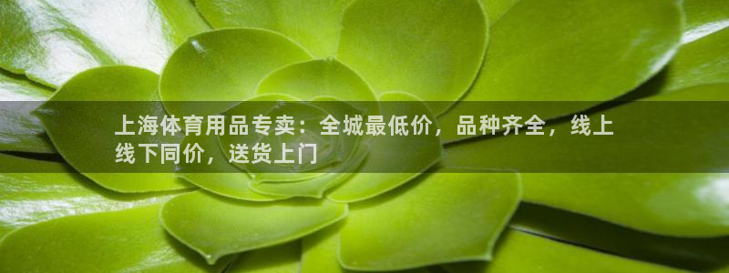 欧陆娱乐客服电话人工服务热线：上海体育用品专卖：全城