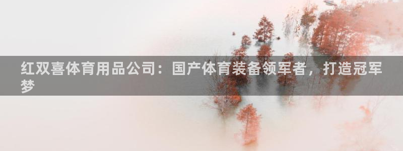 欧陆娱乐能赚钱吗：红双喜体育用品公司：国产体育装备领