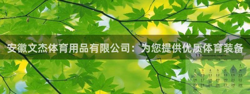 欧陆娱乐登陆官网网址：安徽文杰体育用品有限公司：为您