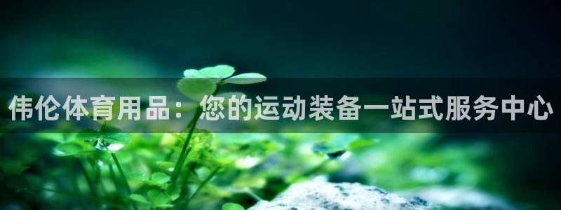 欧陆娱乐平台登录不上去怎么办：伟伦体育用品：您的运动