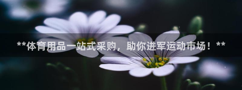 欧陆娱乐官网下载安装最新版苹果：**体育用品一站式采