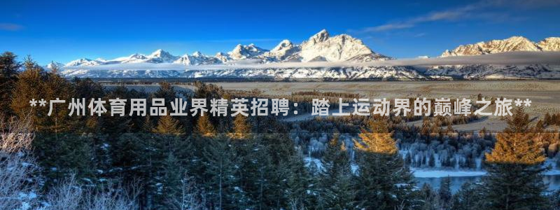 欧陆娱乐官网入口下载：**广州体育用品业界精英招聘：