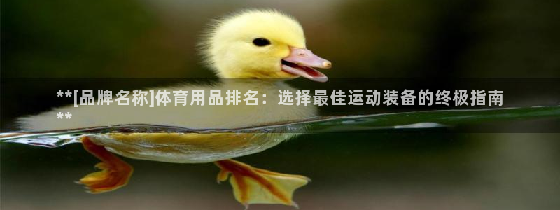 欧陆娱乐官网下载安装最新版本：**[品牌名称]体育用