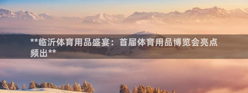 欧陆娱乐平台登录不上怎么回事：**临沂体育用品盛宴：