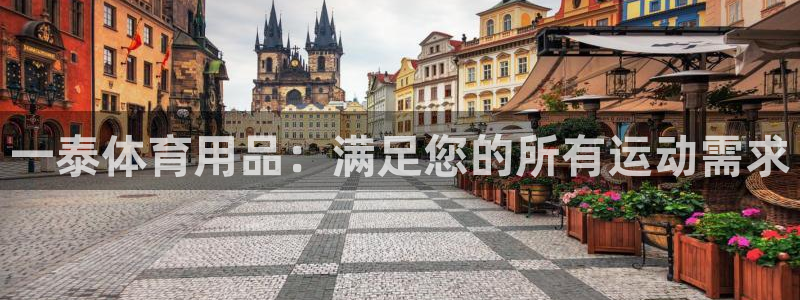 欧陆娱乐官网入口网址：一泰体育用品：满足您的所有运动