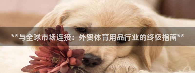 欧陆娱乐官网网址是什么：**与全球市场连接：外贸体育