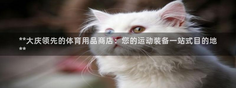 欧陆娱乐怎么注册帐号：**大庆领先的体育用品商店：您
