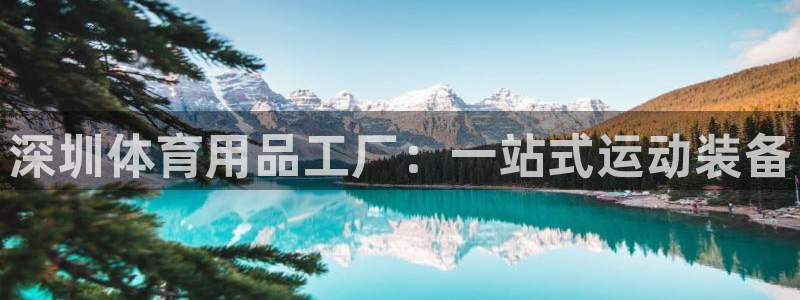 欧陆娱乐注册链接怎么弄出来：深圳体育用品工厂：一站式