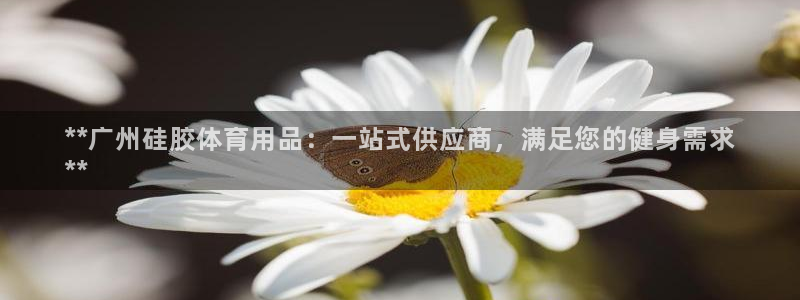 欧陆娱乐官网网址是什么：**广州硅胶体育用品：一站式