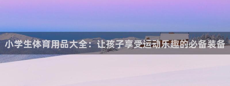 欧陆娱乐官方下载安装：小学生体育用品大全：让孩子享受