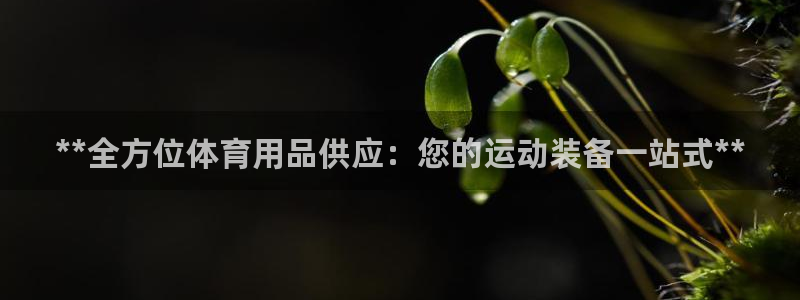 欧陆娱乐登陆平台官网：**全方位体育用品供应：您的运
