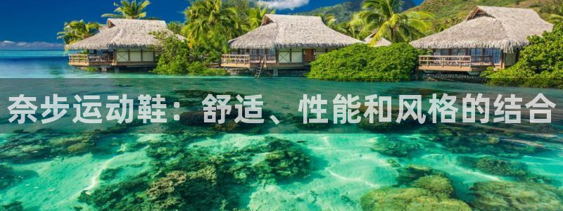 欧陆娱乐平台登录不上去了：奈步运动鞋：舒适、性能和风