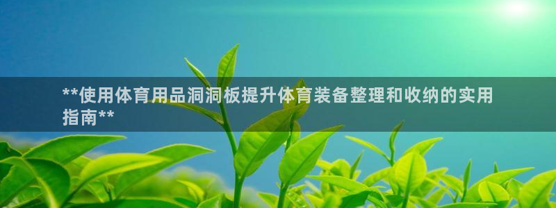 欧陆娱乐代理多少个点位啊：**使用体育用品洞洞板提升