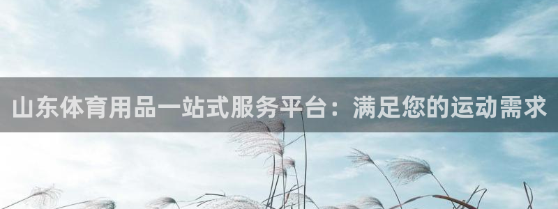 欧陆娱乐官网下载安装手机版：山东体育用品一站式服务平