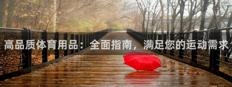 欧陆娱乐登录测速：高品质体育用品：全面指南，满足您的