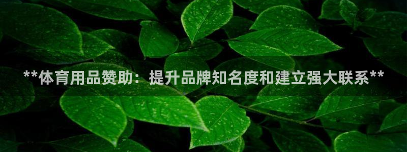 欧陆娱乐挂机项目怎么设置：**体育用品赞助：提升品牌