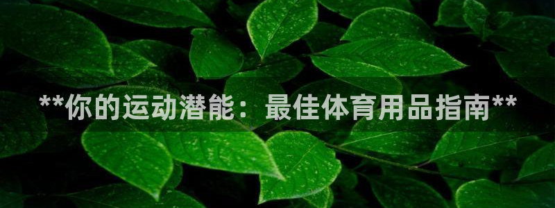 欧陆娱乐合法吗?：**你的运动潜能：最佳体育用品指南