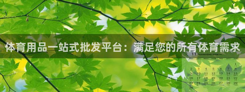 欧陆娱乐平台登陆地址：体育用品一站式批发平台：满足您