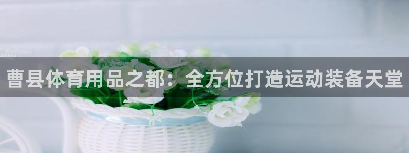 欧陆娱乐怎么注册会员的：曹县体育用品之都：全方位打造