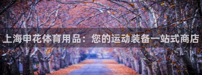 欧陆娱乐累计盈利多少就会被劝退呢知乎：上海申花体育用