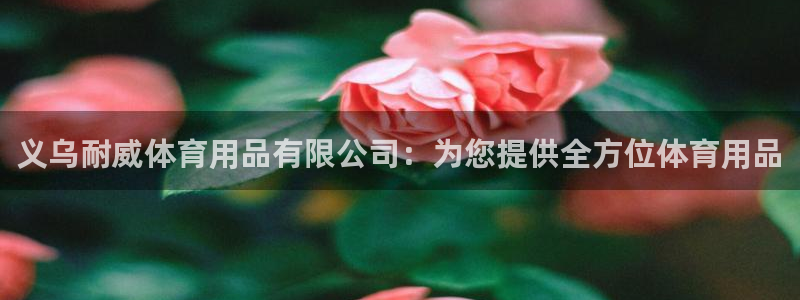 欧陆注册登录入口：义乌耐威体育用品有限公司：为您提供