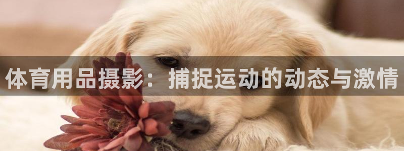 欧陆娱乐平台官网下载：体育用品摄影：捕捉运动的动态与