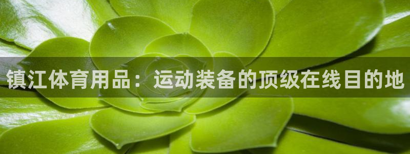 欧陆娱乐平台登录不上去：镇江体育用品：运动装备的顶级