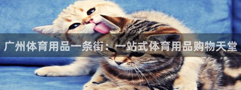 欧陆娱乐平台咋样：广州体育用品一条街：一站式体育用品