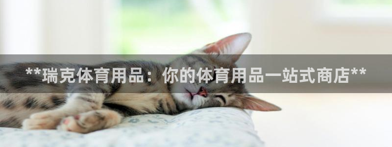 欧陆游戏平台：**瑞克体育用品：你的体育用品一站式商
