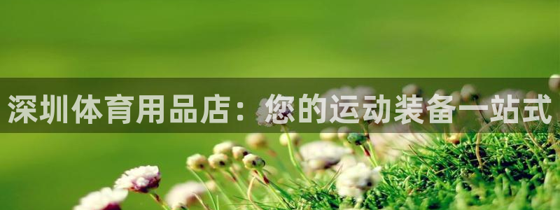欧陆娱乐代理多少个点位合适：深圳体育用品店：您的运动