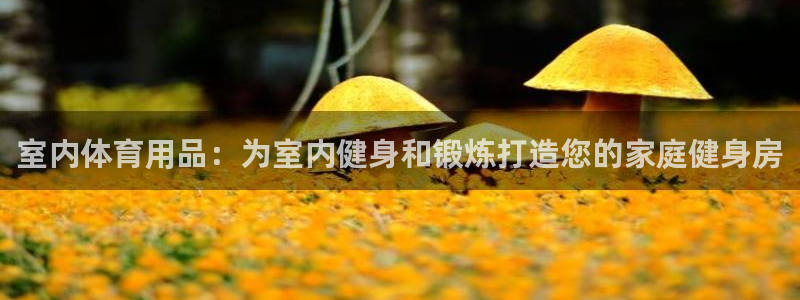 欧陆娱乐客服人工电话：室内体育用品：为室内健身和锻炼