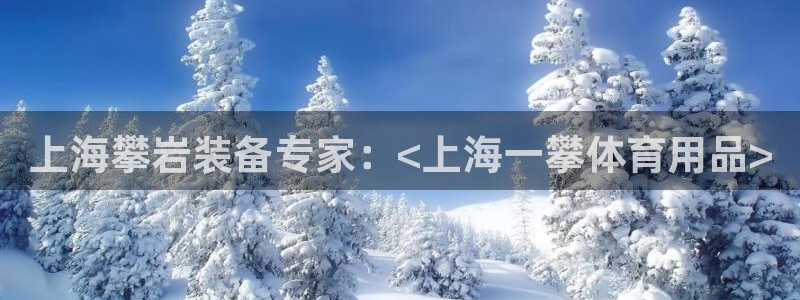 欧陆娱乐是正规吗?：上海攀岩装备专家：<上海一攀体育