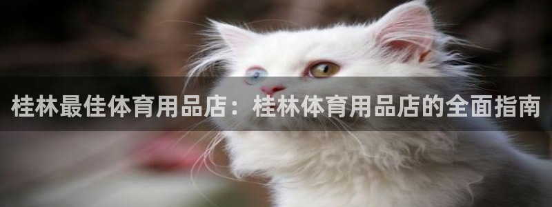欧陆娱乐登录平台下载：桂林最佳体育用品店：桂林体育用