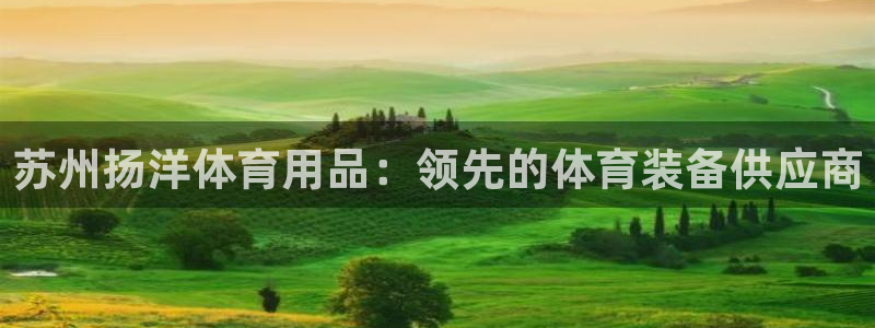 欧陆娱乐中国：苏州扬洋体育用品：领先的体育装备供应商