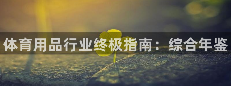 欧陆注册码：体育用品行业终极指南：综合年鉴
