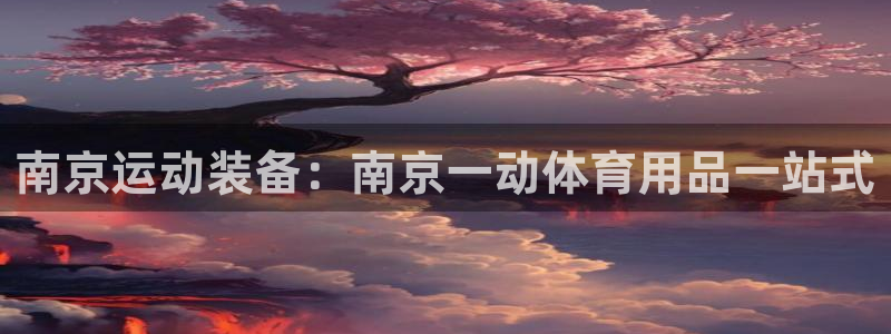 欧陆娱乐官网注册中心在哪：南京运动装备：南京一动体育