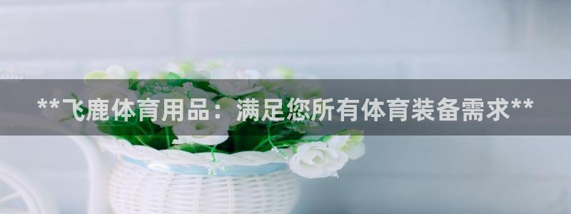 欧陆娱乐信誉如何：**飞鹿体育用品：满足您所有体育装