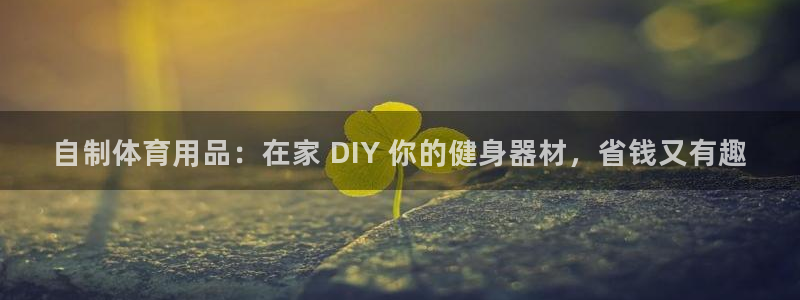 欧陆娱乐登录官网入口：自制体育用品：在家 DIY 你