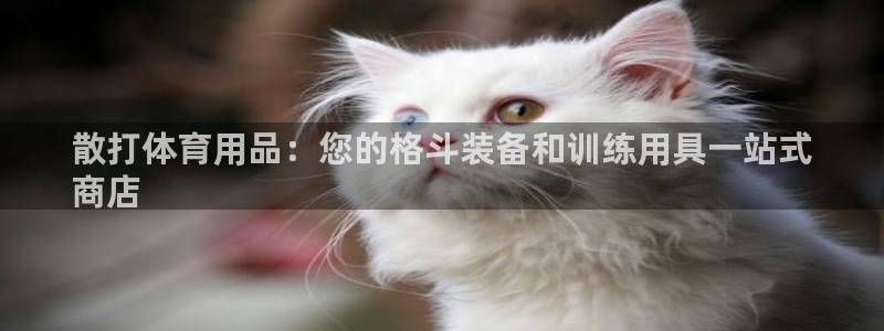 欧陆娱乐登录官网网址：散打体育用品：您的格斗装备和训