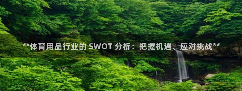 欧陆游戏平台：**体育用品行业的 SWOT 分析：把