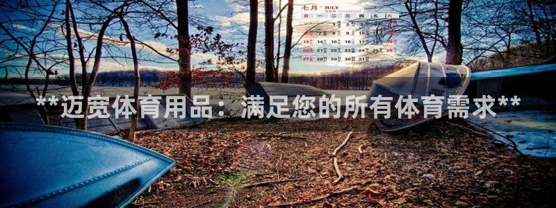 欧陆娱乐脚本下载：**迈宽体育用品：满足您的所有体育