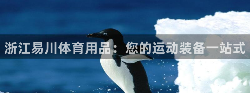 重庆欧陆娱乐有限公司电话：浙江易川体育用品：您的运动
