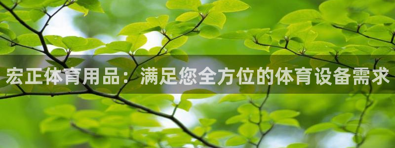 欧陆娱乐平台登录：宏正体育用品：满足您全方位的体育设