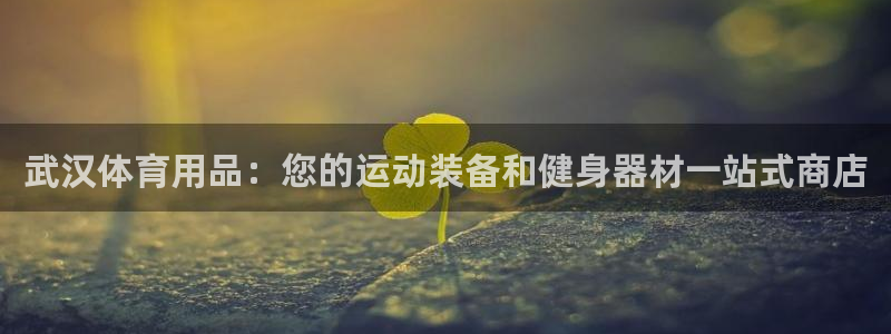欧陆娱乐共创美好：武汉体育用品：您的运动装备和健身器