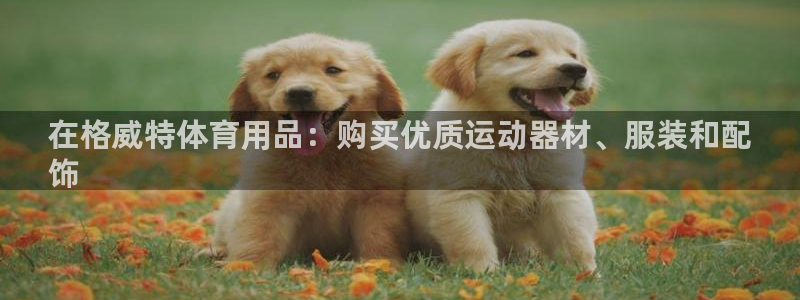 欧陆娱乐有限公司招聘：在格威特体育用品：购买优质运动