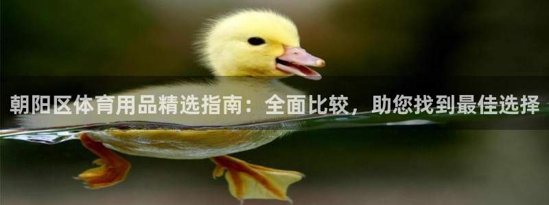 欧陆娱乐平台登陆地址在哪看：朝阳区体育用品精选指南：