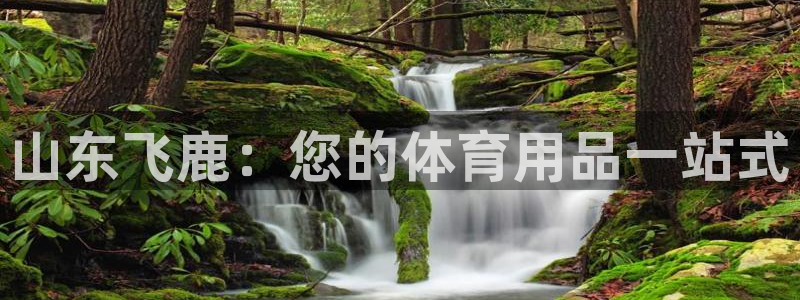 重庆欧陆娱乐有限公司怎么样：山东飞鹿：您的体育用品一